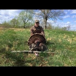 Meet your Posher, Levi